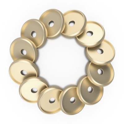 DISCAGENDA DISCBOUND DISCS 24MM 12 PIECE SET GOLD DISCAGENDA DISCBOUND DISCS 24MM 12 PIECE SET GOLD