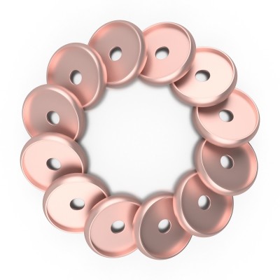 DISCAGENDA DISCBOUND DISCS 24MM 12 PIECE SET ROSE GOLD DISCAGENDA DISCBOUND DISCS 24MM 12 PIECE SET ROSE GOLD