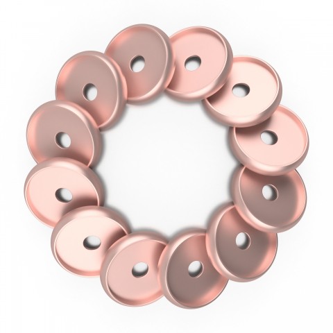 DISCAGENDA DISCBOUND DISCS 24MM 12 PIECE SET ROSE GOLD