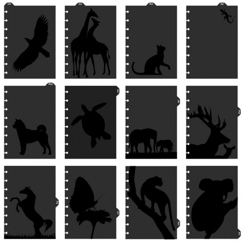 DISCBOUND 12 MONTHS ANIMALS DIVIDERS